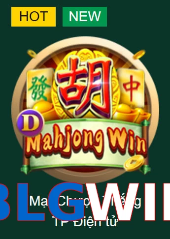 BLGWIN