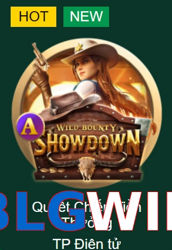 BLGWIN